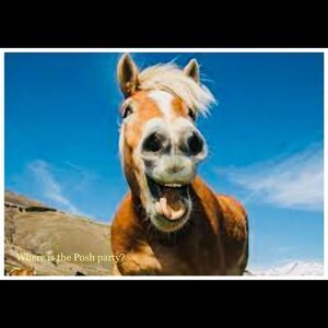 Heyyyy! Check out my closet!